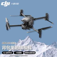 大疆（DJI） 经纬M30T 无人机 套装标准版+喊话+探照+培训